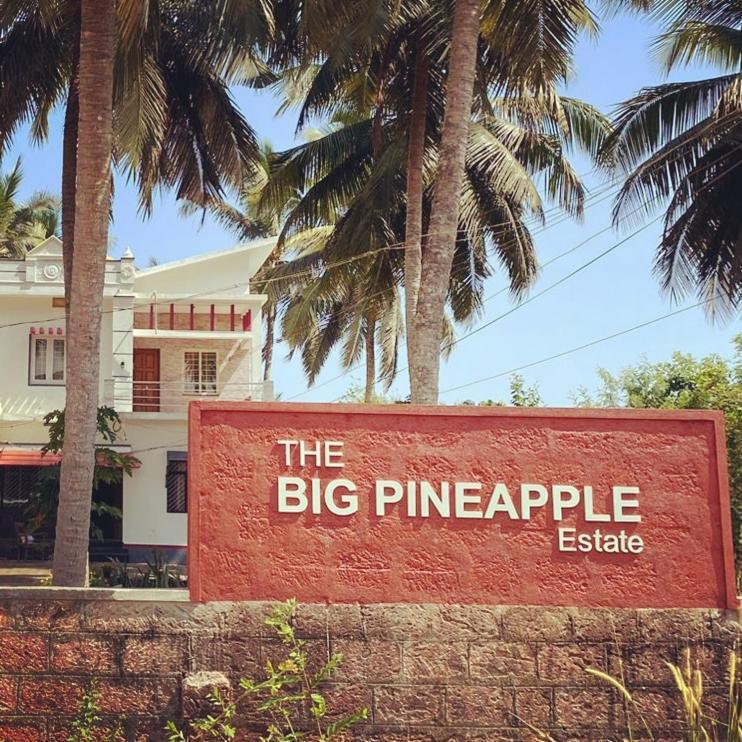 The Big Pineapple Estate Villa Удупі Екстер'єр фото